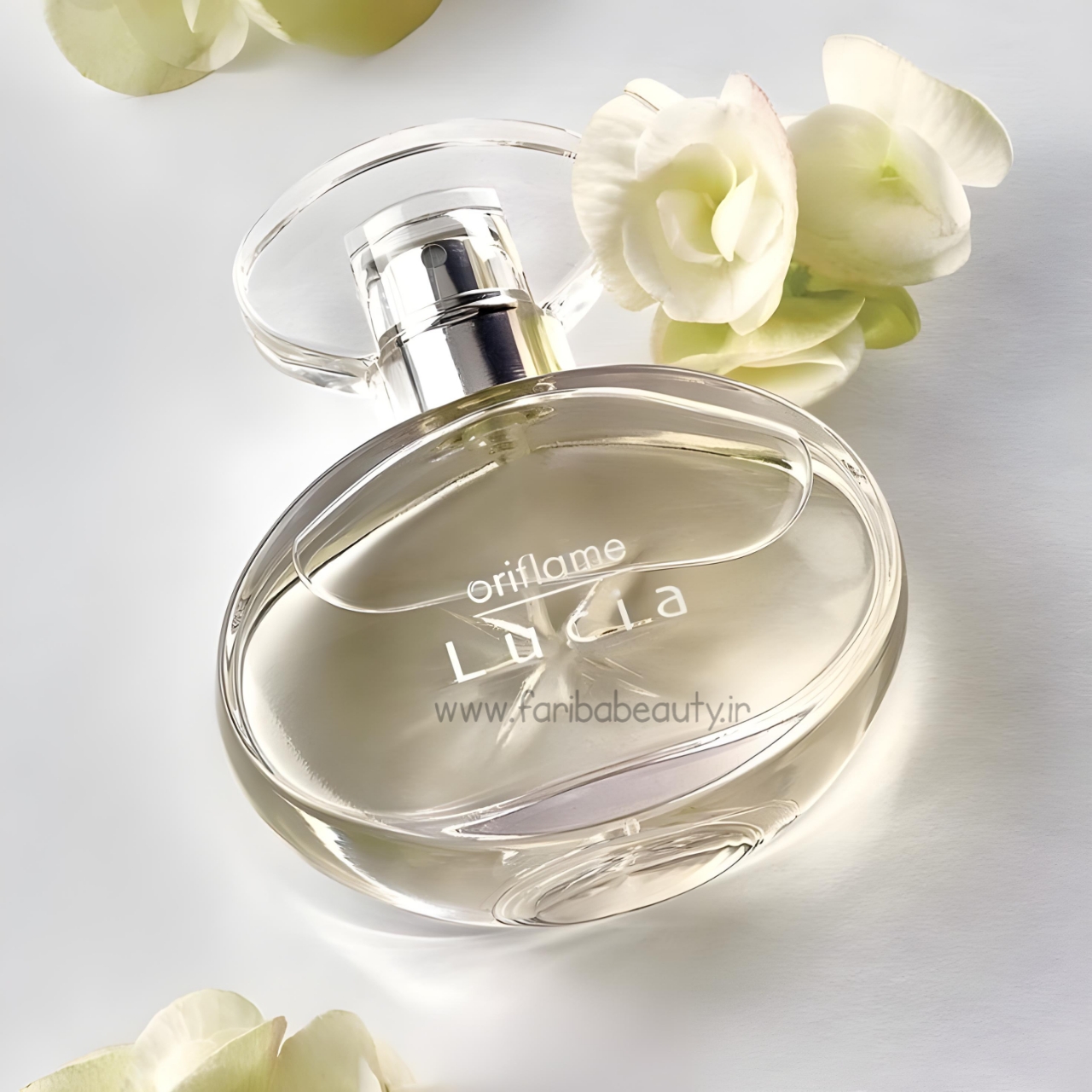عطر لوسیا (لوچیا) با رایحه ظریف و زنانه