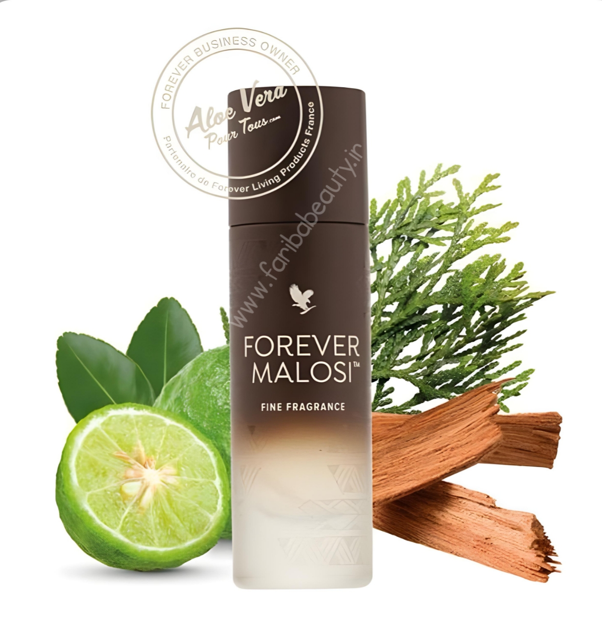 عطر مردانه مالوسی /ادکلن مالوسی